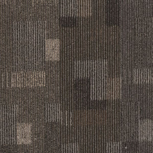 8 in. x 8 in. Textured Loop Carpet Sample - Basics -Color - Smoke