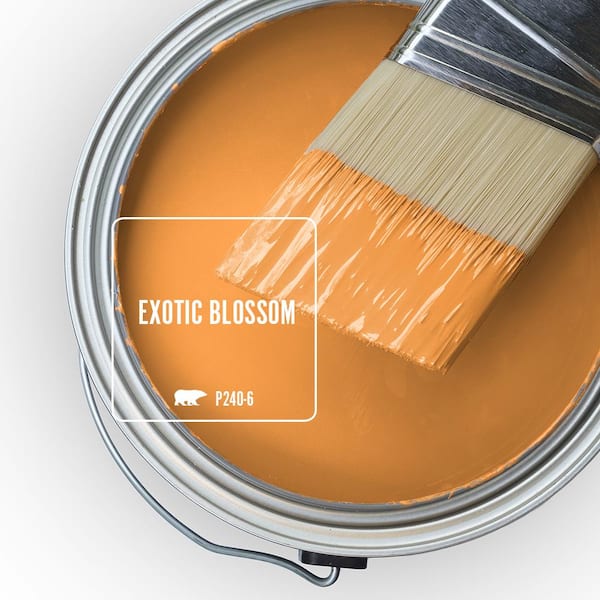 BEHR PREMIUM PLUS 8 oz. #P110-7 XOXO Semi-Gloss Interior/Exterior Paint &  Primer Color Sample B330316 - The Home Depot