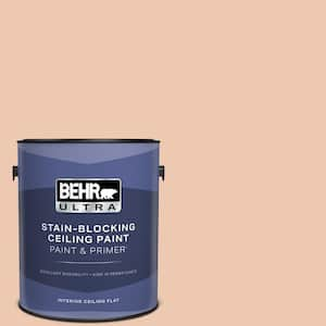 1 gal. #MQ3-39 Sweet Pastel Ceiling Flat Interior Paint with Primer