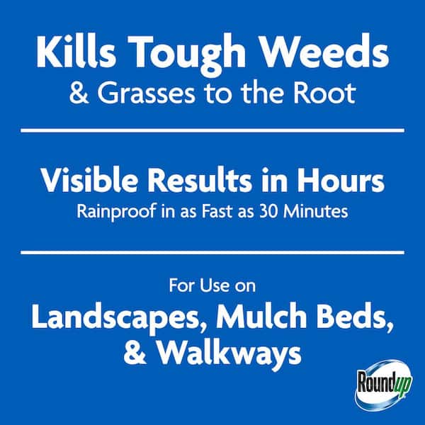 24 fl. oz. Weed and Grass Killer₄, Use In and Around Flower Beds, Trees and Driveways