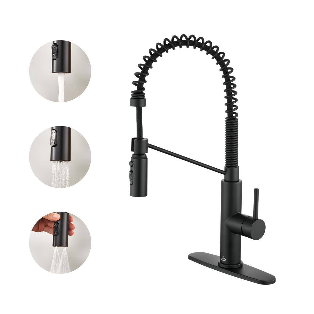 Matte Black Stainless Steel Pull Down Kitchen Faucet with Deck Plate