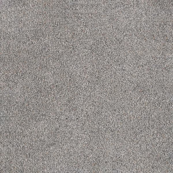 Home Decorators Collection 8 in. x 8 in. Texture Carpet Sample - Topaz I - Color Kindle