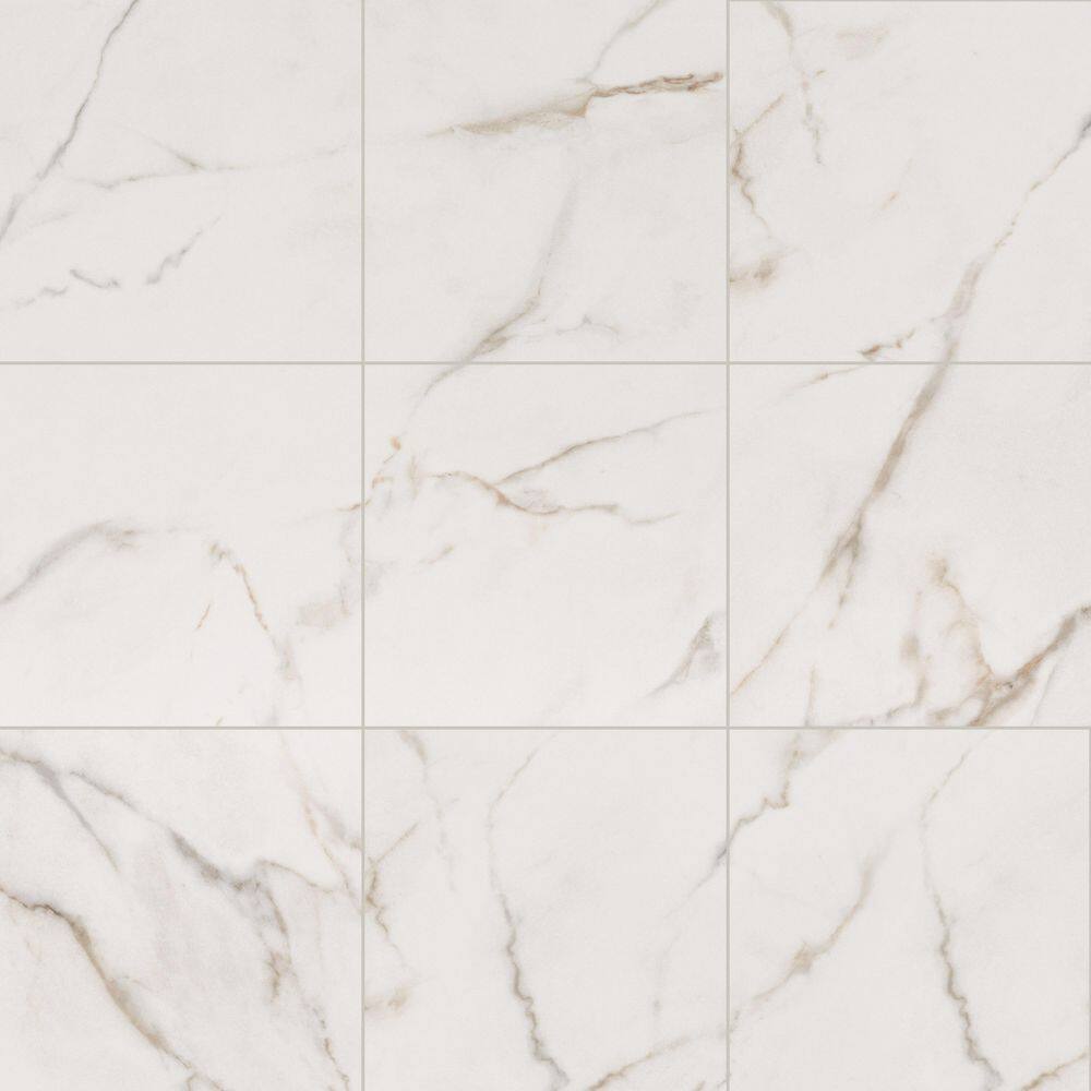 Leonardo Luccia 24 in. x 24 in. Polished Porcelain Marble Look Floor and Wall Tile (480 sq. ft./Pallet) price history on PriceWatchPro