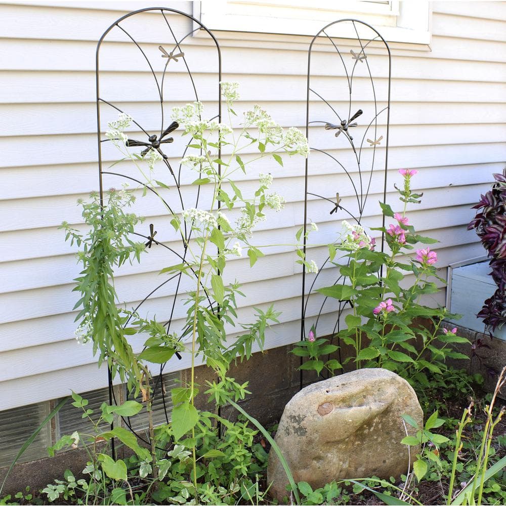 Black Steel Dragonfly Design Garden Trellis Set - 55.75" H - 2-Pack