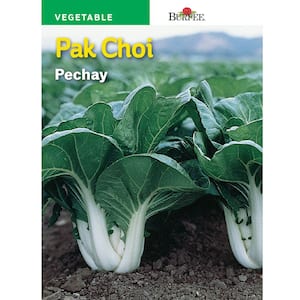 Asian Cabbage Pak Choi