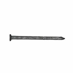 12 in. Hot Dipped Galvanized Common Spike Nail