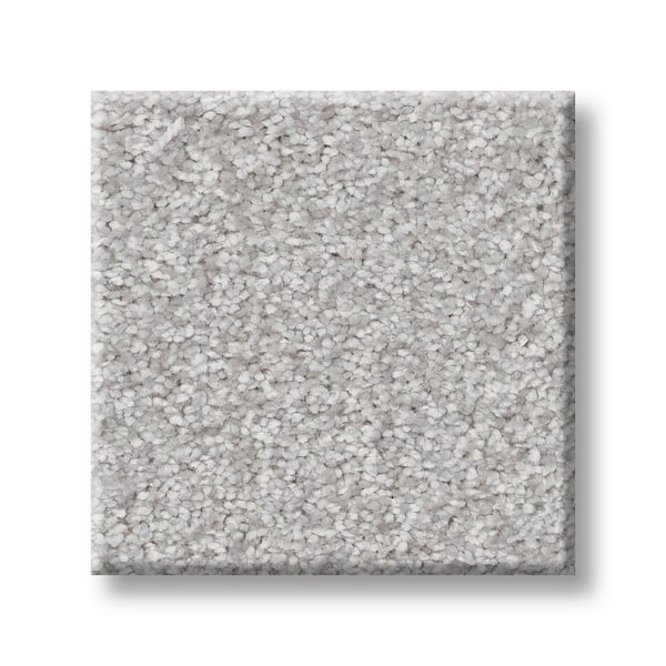 Lifeproof 8 in. x 8 in. Texture Carpet Sample - Rosemary III -Color Salted