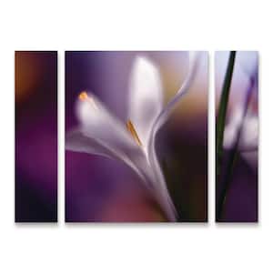 Trademark Fine Art Unknown Japanese Wisteria I B 3-Piece Panel Set