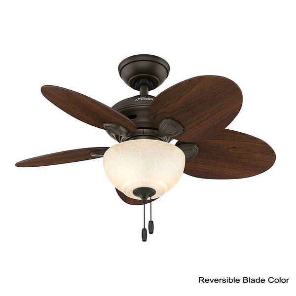 Hunter Carmen 34 In Indoor New Bronze Ceiling Fan With Light 51004 The Home Depot
