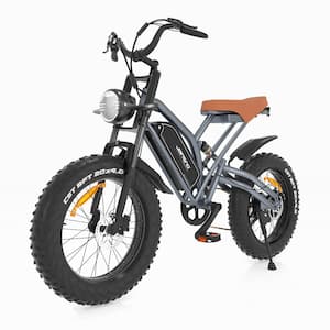 20 in. 750-Watt 48-Volt 12.8 Amp Fat Tires, 7-Speed Shimano Snow Beach Mountain Electric Bicycle