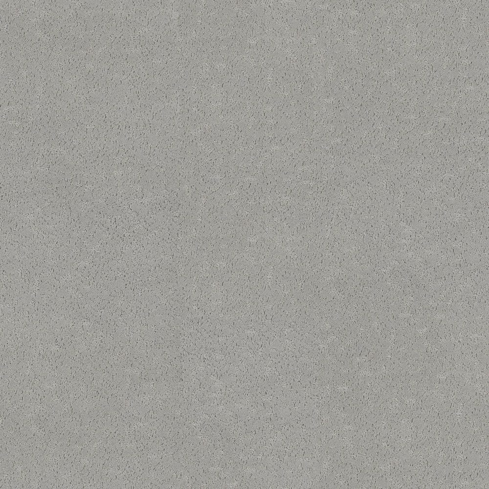 8 in. x 8 in. Pattern Carpet Sample - Pattern Plays - Color Silverado price history on PriceWatchPro