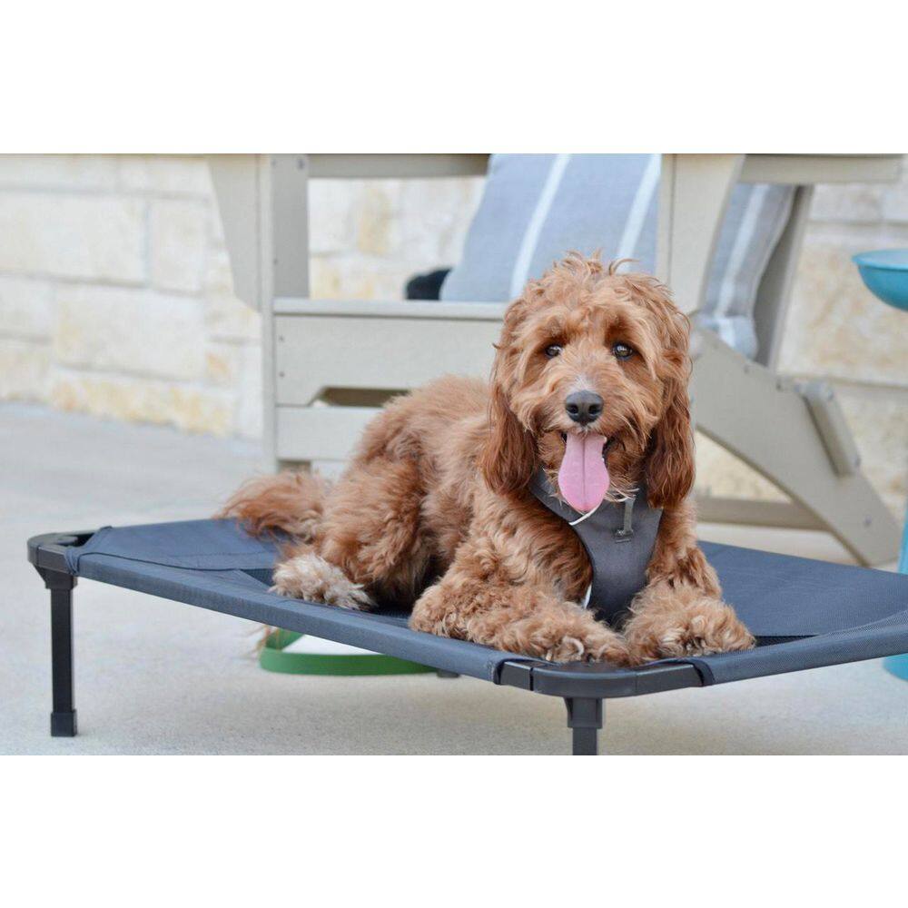 Medium Gray Waterproof Elevated Outdoor Pet Bed