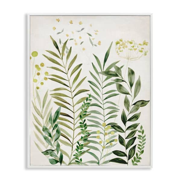 Stupell Industries Delicate Herbs & Leaves by Hannah Dawson White Framed Nature Giclee Art Print 30 in. x 24 in.