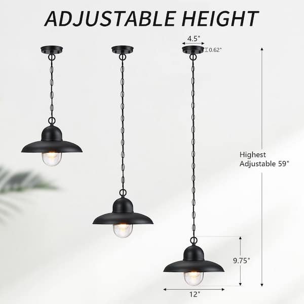 pasentel Farmhouse 9.75 in. 1-Light Black Outdoor Pendant Light