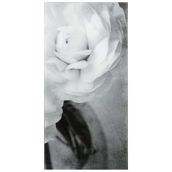 "Dark Ranunculus I B" Frameless Free Floating Reverse Printed Tempered Art Glass Wall Art, 72 in. x 36 in.