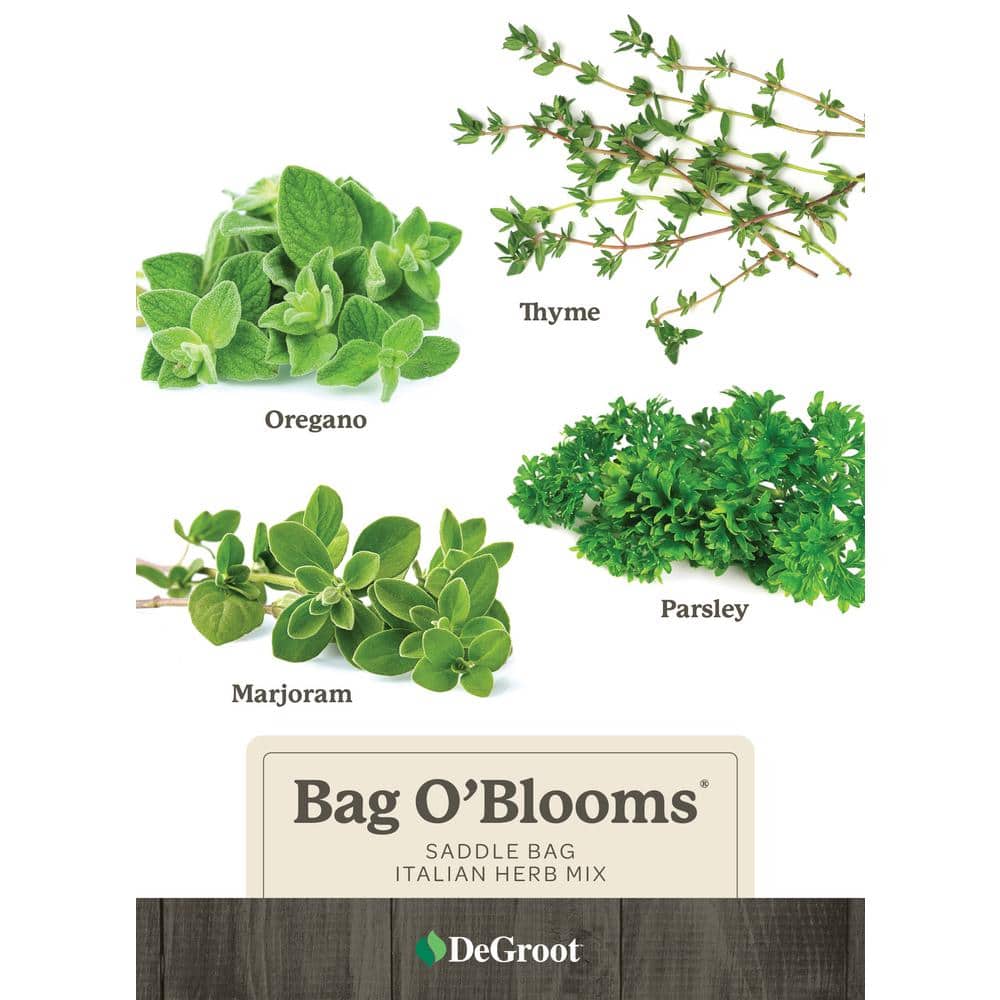 Bag OBlooms Saddle Bag Italian Herb Mix, DIY Seed Kit (4-Packets), Assorte