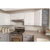 tint-base-light-clear-rust-oleum-transformations-cabinet-paint-258109-a0.3