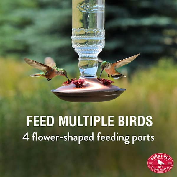 Clear Antique Bottle Decorative Glass Hummingbird Feeder - 10 oz. Capacity