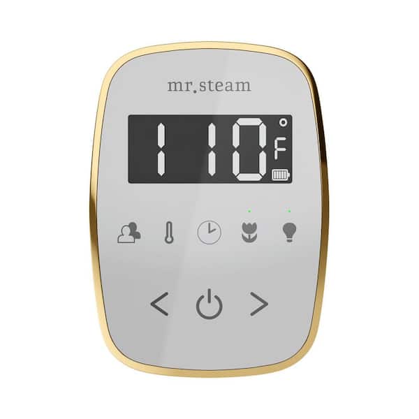 ButlerFlex Max Steam Shower Control Package with TempoFlex Control and Steamhead in White Oil-Rubbed Bronze