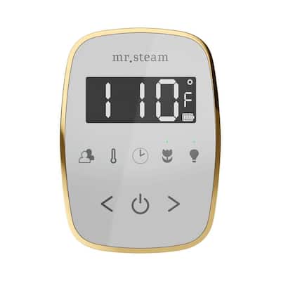 ButlerFlex Steam Shower Control Package with TempoFlex Control and Linear Steamhead in White Oil-Rubbed Bronze