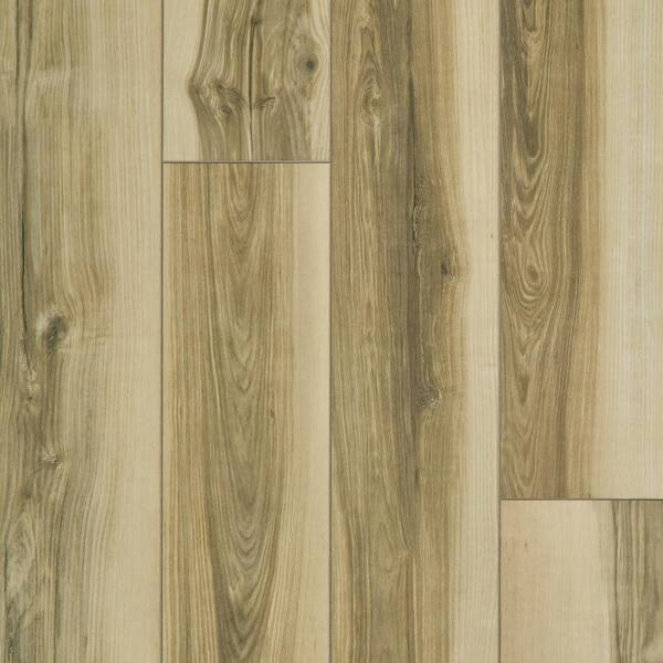 Shaw Floors Take Home Sample 5 in. x 7 in. Cascades Chatter
