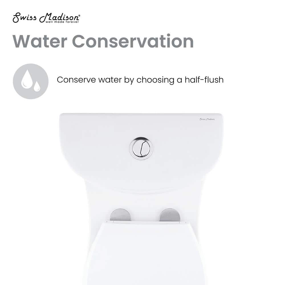 Glossy White Elongated Dual Flush One-Piece Toilet
