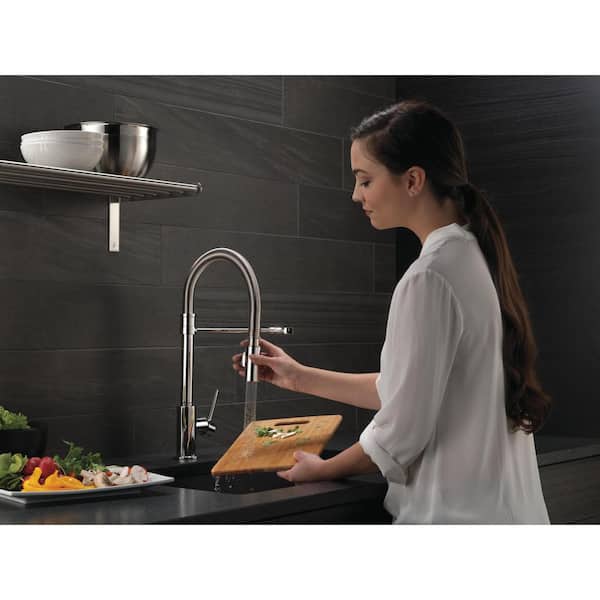 Trinsic Single Handle Pull Down Sprayer Kitchen Faucet with Spring Spout in Chrome