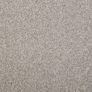 Barx I  - White Wash - Gray 43 oz. Triexta Texture Installed Carpet