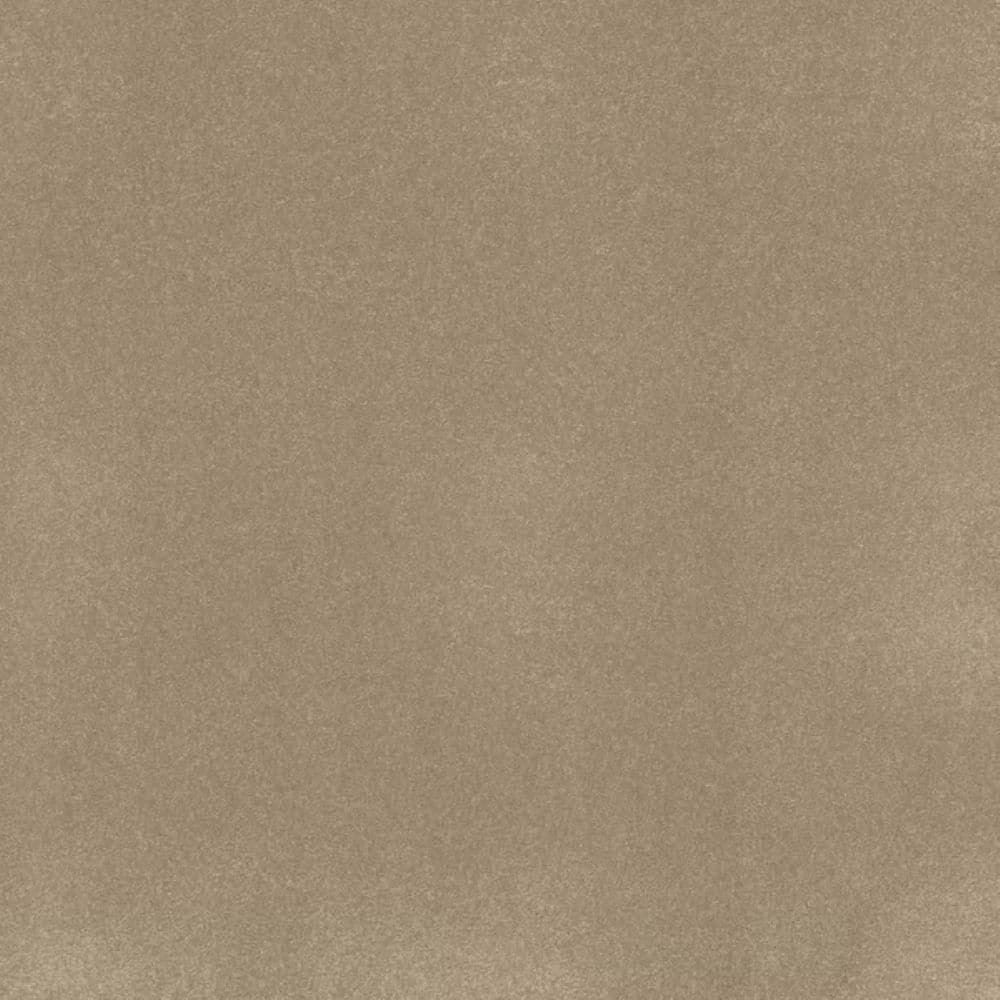 8 in. x 8 in. Texture Carpet Sample-Park Royal II-Color Oyster price history on PriceWatchPro