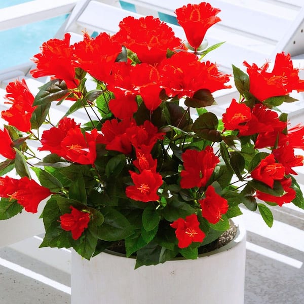 Nearly Natural 19 in. UV Resistant Artificial Hibiscus Bush