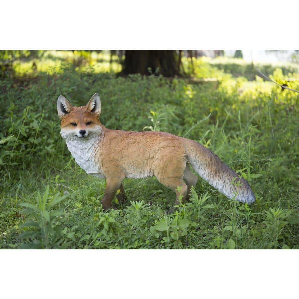 Fox Walking price history on PriceWatchPro