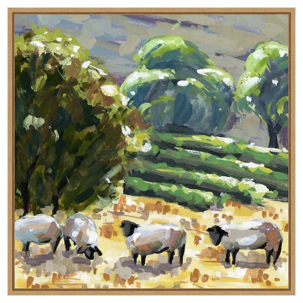 Amanti Art Sheep in Summer I by Melissa Wang 30 in. W x 30 in. H. Canvas Wall Art Print Framed in Brown