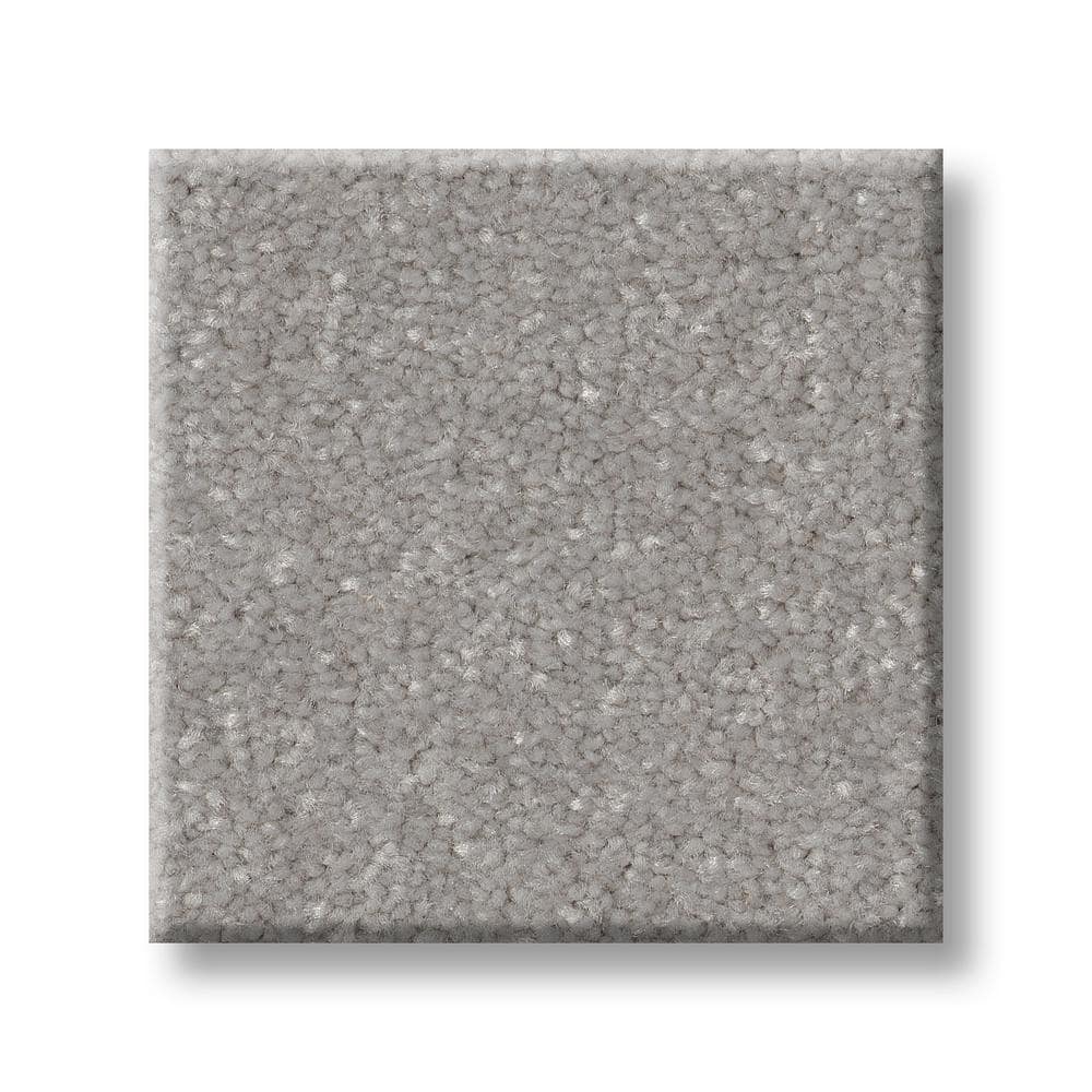 8 in. x 8 in. Texture Carpet Sample - Blakely II -Color Steel price history on PriceWatchPro