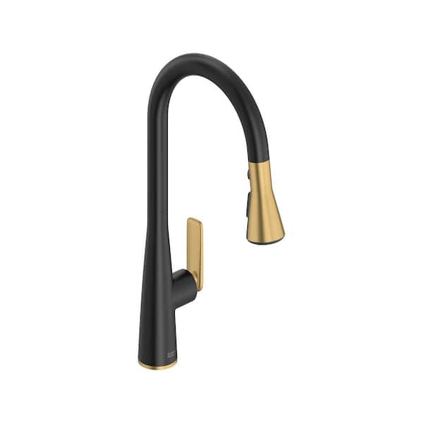 Aspirations 18 in Single Handle Pull Down Sprayer Kitchen Faucet with 360° Swivel in Matte Black/Brushed Cool Sunrise