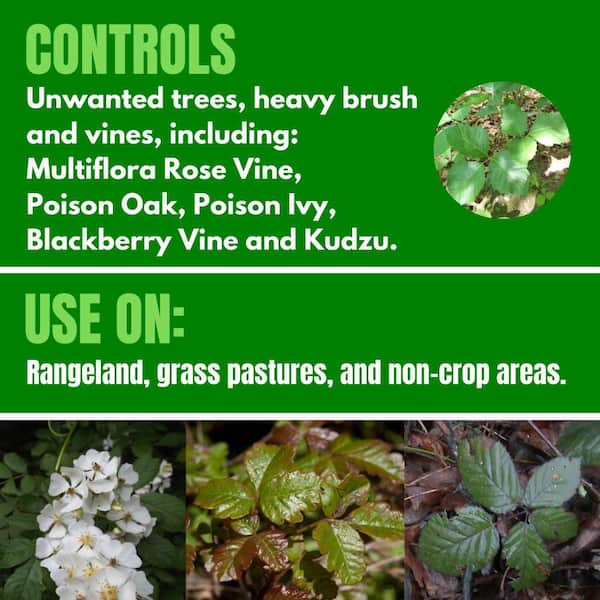 32 oz. Weed Killer Concentrate for Brush and Weed