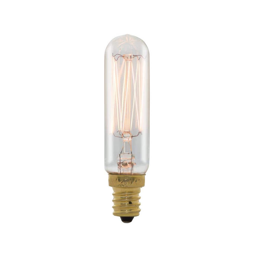 Dimmable Incandescent Clear Light Bulb