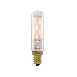25-Watt T6 Warm White Light Candelabra Base (E12) Dimmable Incandescent Clear Light Bulb (4-Pack)