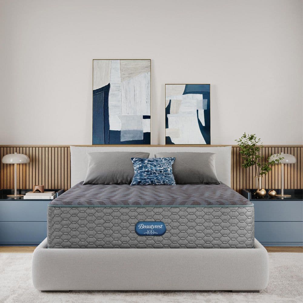 Regal Sleep King Plush 14 in. Mattress price history on PriceWatchPro