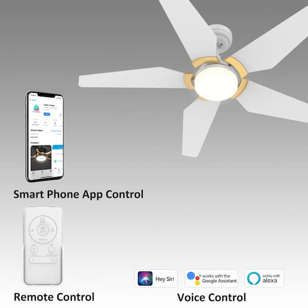 Dimmable Smart Fan Switch | Voice Controlled 