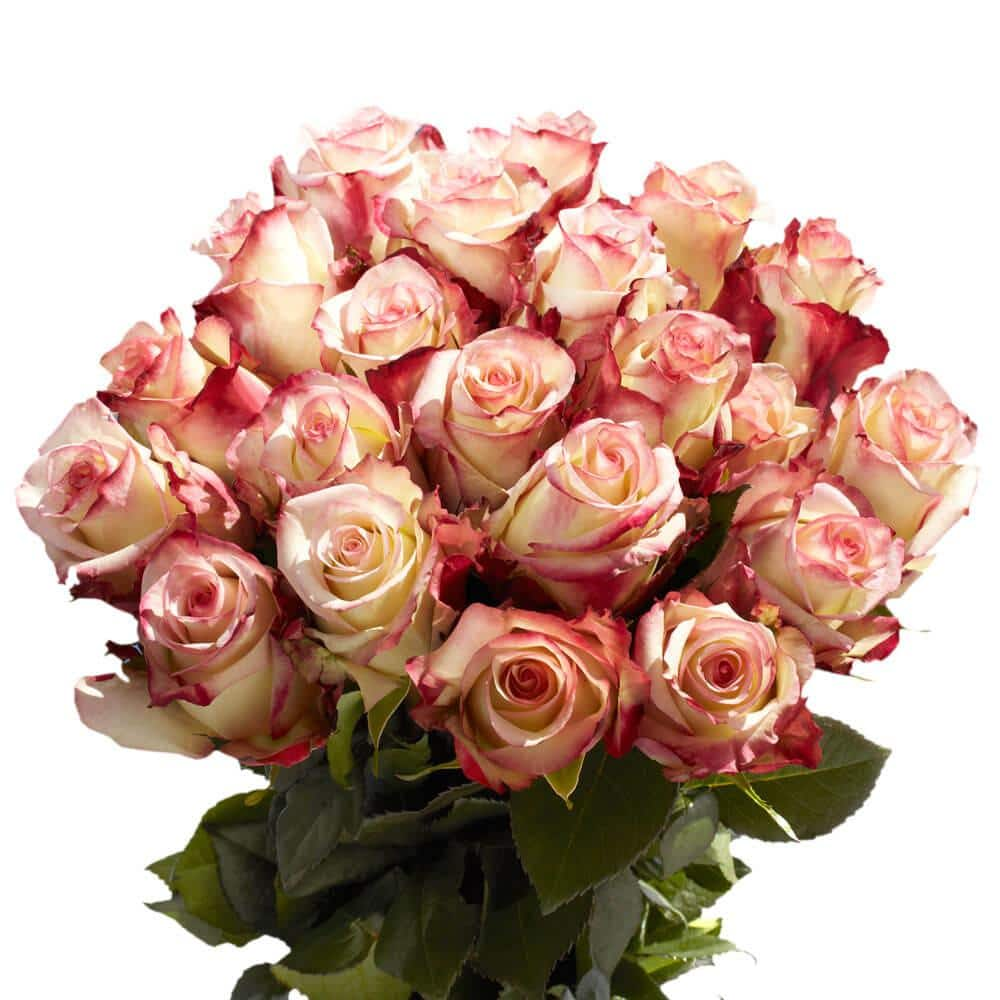 057 Red and White Roses Bouquet decorated with Dendrobium Orchids