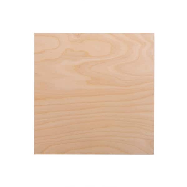 Baltic Birch Plywood - 1/8 Inch Thickness - 12 x 12 Square Wood Sheets -  Pack of 20: : Tools & Home Improvement