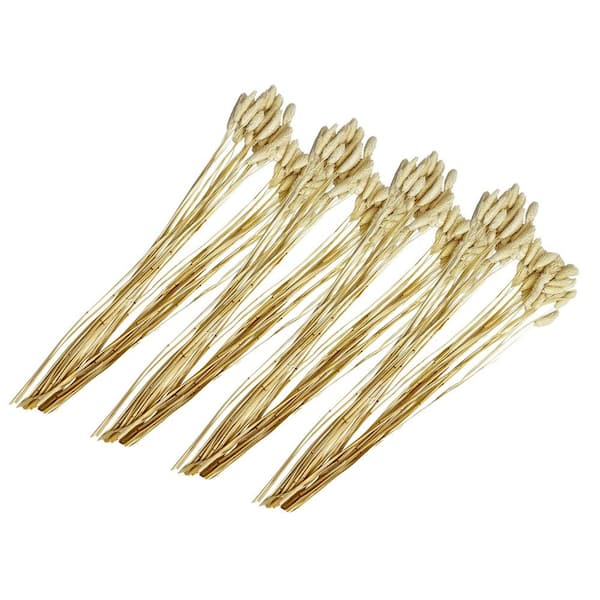 21 in. White Indoor Non Artificial Dried Preserved Dried Gem Grass-Pack of 4