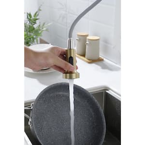 Single Handle Pull Out Sprayer Kitchen Faucet in Gold Stainless Steel Deckplate Included