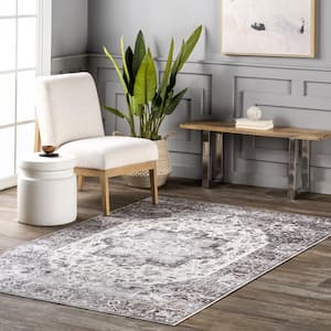 Ari Faded Spill-Proof Machine Washable Gray 4 ft. x 6 ft. Area Rug