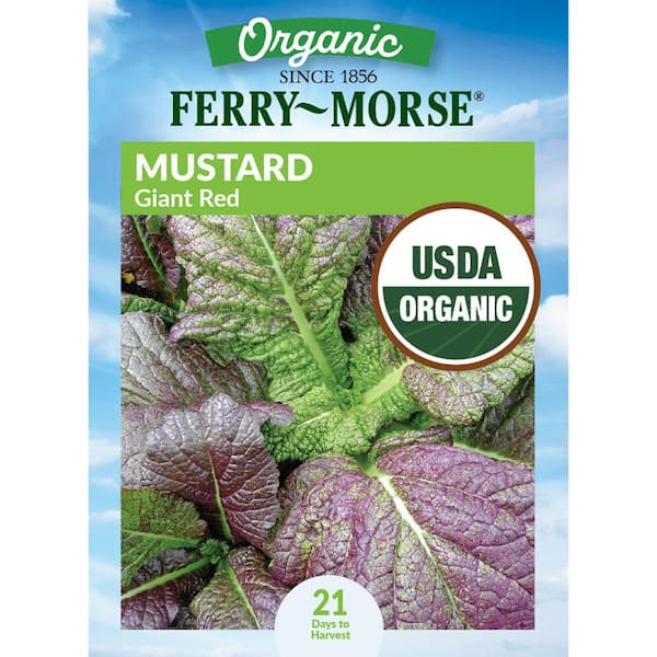 Organic Mustard Giant Red Vegetable Seeds
