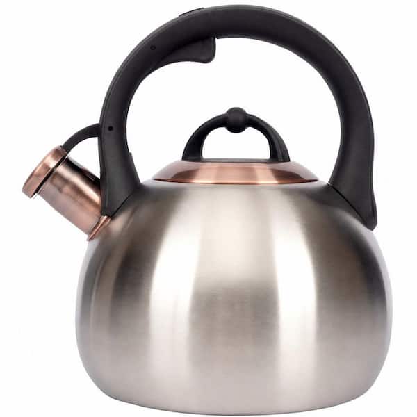 3.1 qt. 12-Cup Silver Food Grade Stainless Steel Whistling Stovetop Tea Kettle with Pour Spout