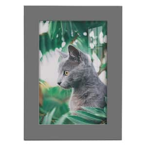 Modern 5 in. x 7 in. Grey Picture Frame