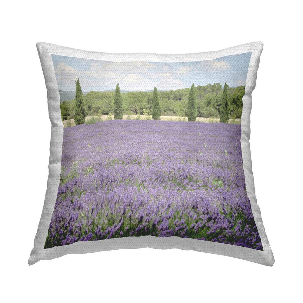 Country Lavender Scenery Green Square Outdoor Throw Pillow price history on PriceWatchPro