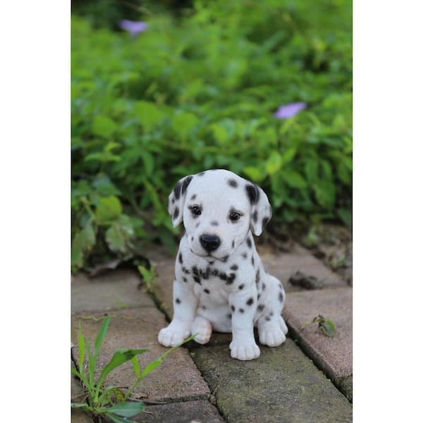 HI-LINE GIFT LTD. Dalmatian Puppy Statue 87771-Z - The Home Depot