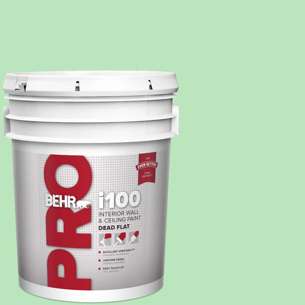5 gal. #P390-3 Mint Parfait Dead Flat Interior Paint price history on PriceWatchPro